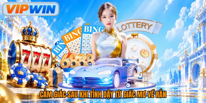 Cảm giác sau khi tỉnh dậy từ giấc mơ về rắn
