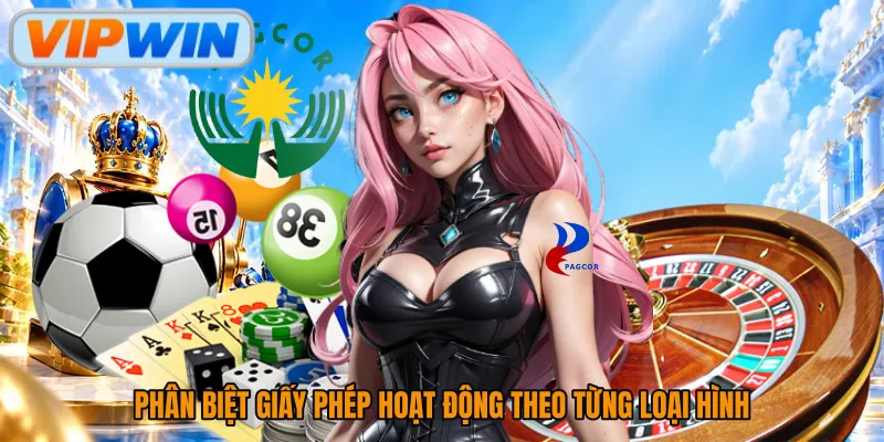 Phân biệt giấy phép hoạt động theo từng loại hình