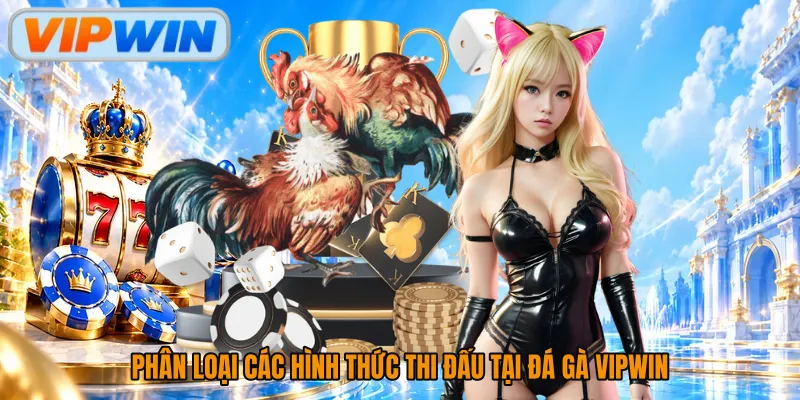 Phân loại các hình thức thi đấu tại đá gà Vipwin